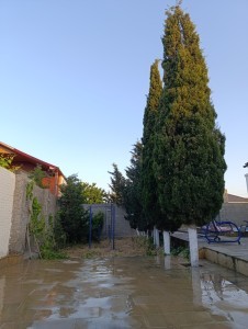 image 405665