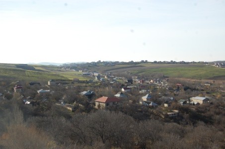 image 406645