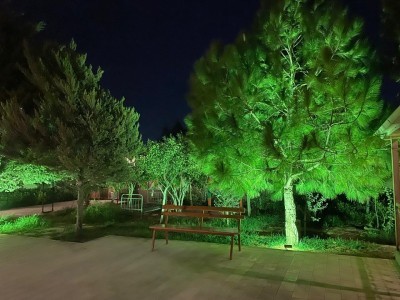 image 406726