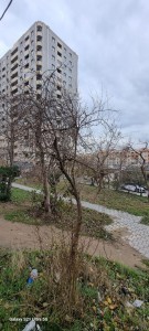 image 406901