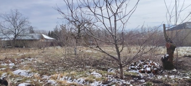 image 407562