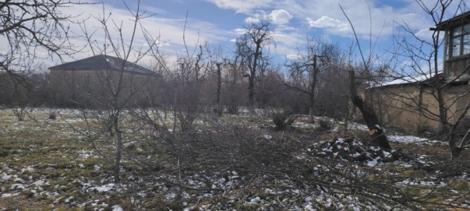 image 407601