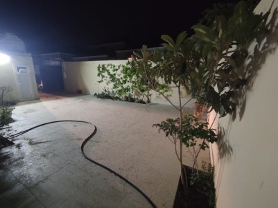 image 408766