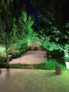 image 408967