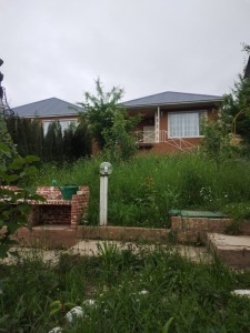 image 409338
