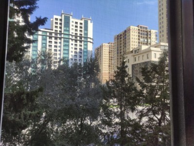 image 409365