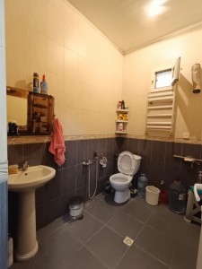 image 409482