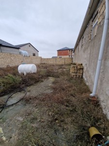 image 412449