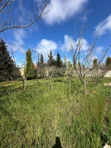 image 414451