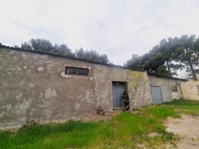 250 Sqm obyekt