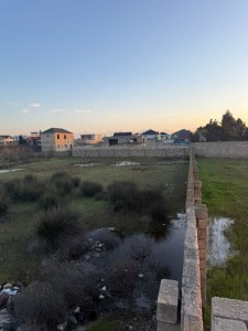 image 415352