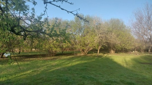 image 415681