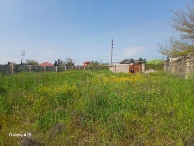 image 416228