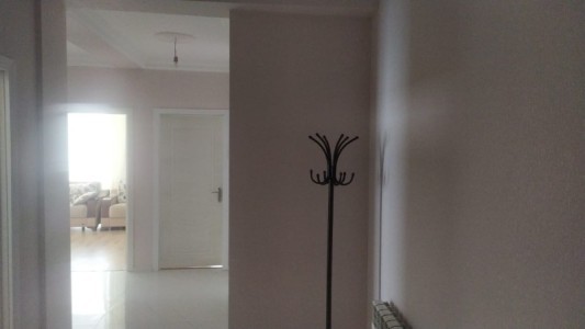 image 416455