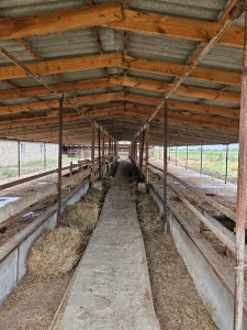 3000 m² obyekt