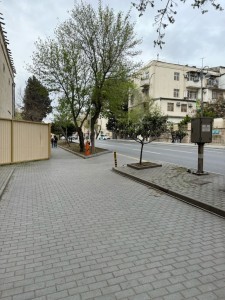 image 416595