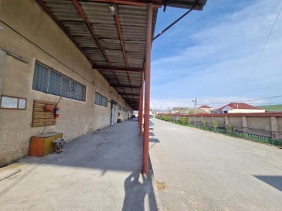 image 416767