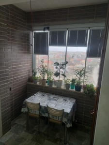 image 416797