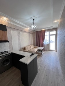 1 otaqlı yeni tikili