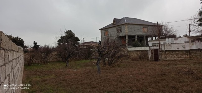 image 417419