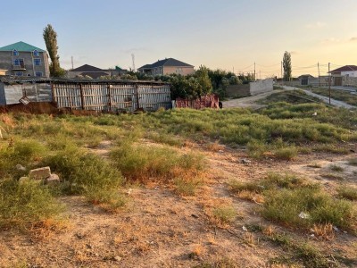 image 417423