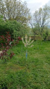 image 417542
