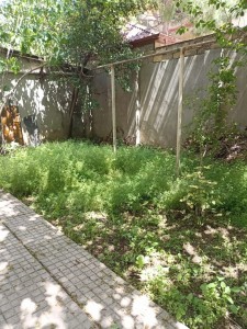 image 418097