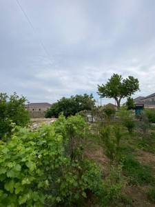 image 418310