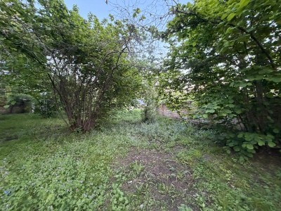 image 418665