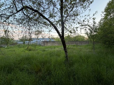 image 418665
