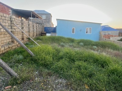 image 419211
