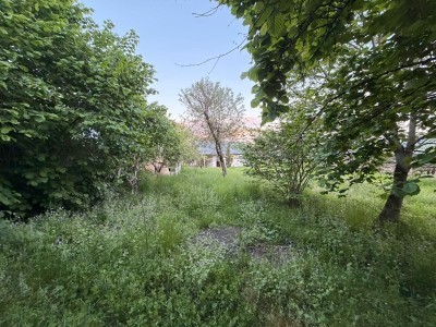 image 419240