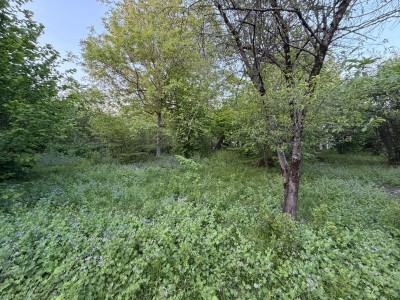 image 419240