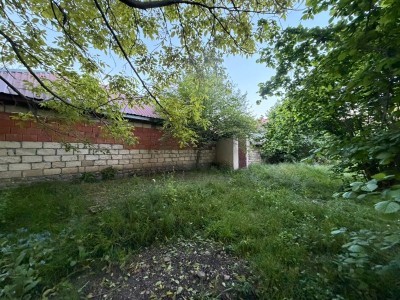 image 419240