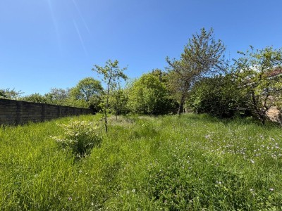 image 419240