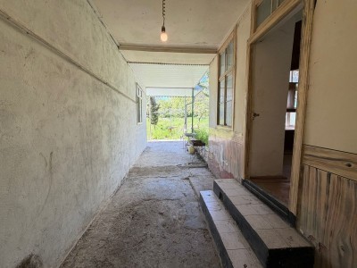 image 419240