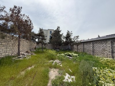 image 419295