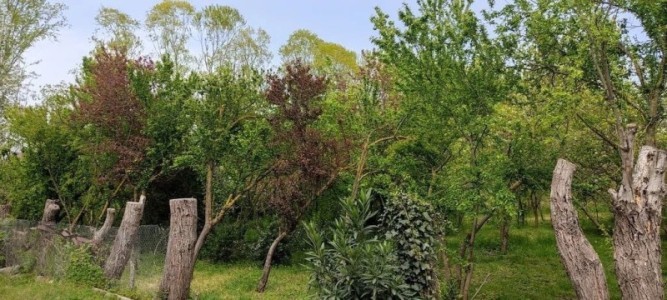 image 419553
