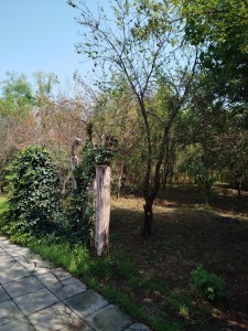 image 419553