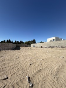 image 419562