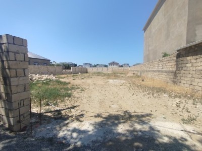 image 419566