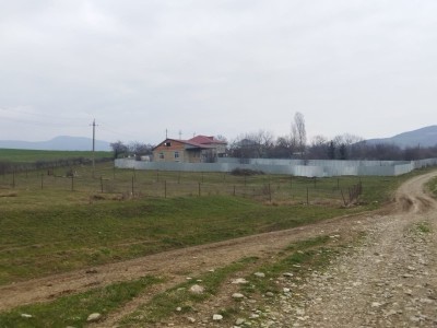 image 421093