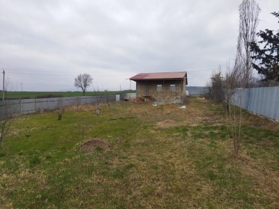 image 421093
