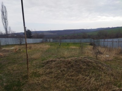 image 421093