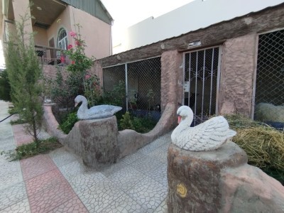 image 421185