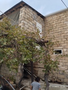 3 sot həyət / bağ evi