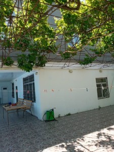 image 421561