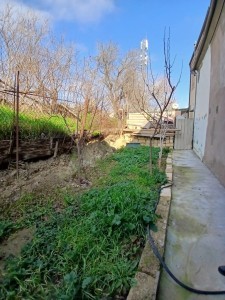 2 sqft həyət / bağ evi