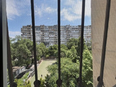 image 421745