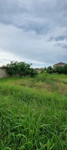 image 421759